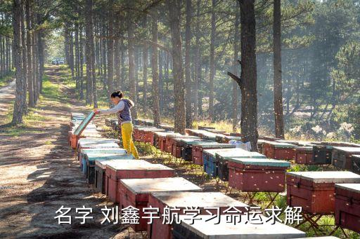 名字 劉鑫宇航學(xué)習(xí)命運求解