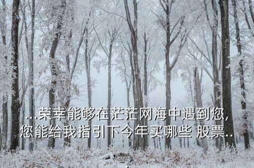 ...榮幸能夠在茫茫網海中遇到您,您能給我指引下今年買哪些 股票...