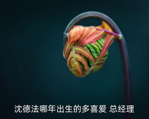 盤錦建設投資有限責任公司總經(jīng)理,中國新興建設開發(fā)有限責任公司總經(jīng)理