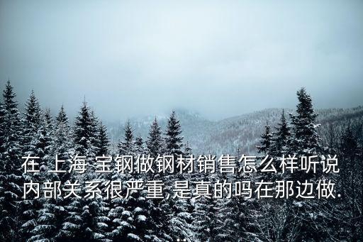 在 上海 寶鋼做鋼材銷售怎么樣聽說內(nèi)部關(guān)系很嚴重,是真的嗎在那邊做...