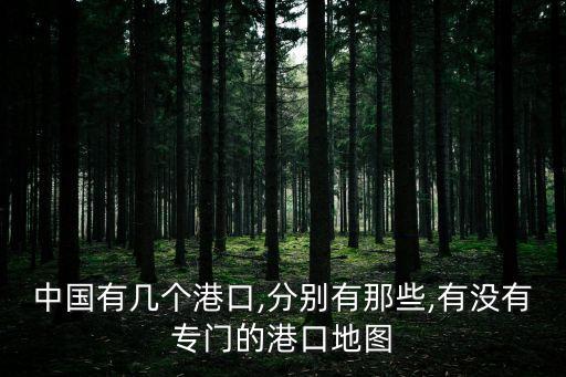 中國(guó)有幾個(gè)港口,分別有那些,有沒(méi)有專門的港口地圖