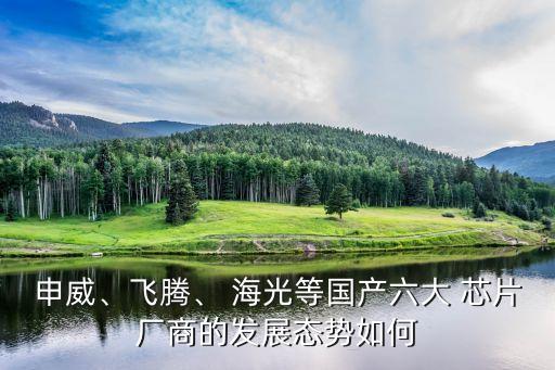 申威、飛騰、 海光等國(guó)產(chǎn)六大 芯片廠商的發(fā)展態(tài)勢(shì)如何