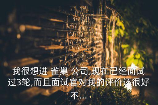 我很想進 雀巢 公司,現(xiàn)在已經面試過3輪,而且面試官對我的評價還很好不...