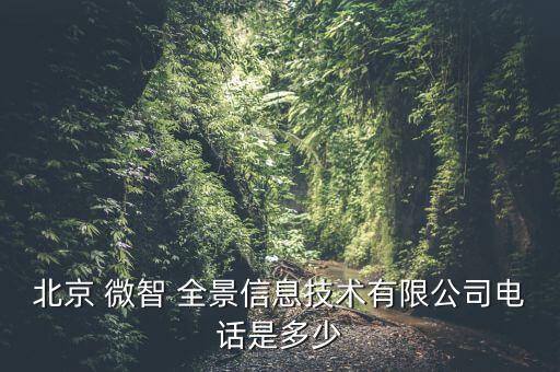 北京 微智 全景信息技術有限公司電話是多少
