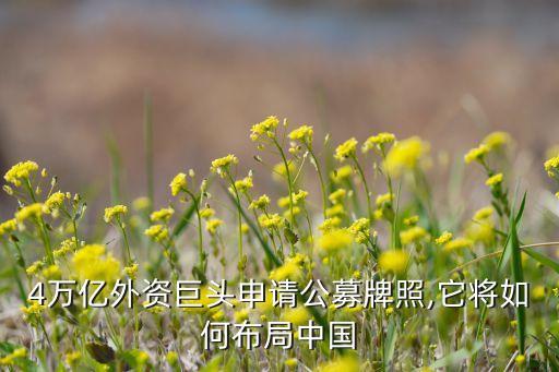 4萬(wàn)億外資巨頭申請(qǐng)公募牌照,它將如何布局中國(guó)
