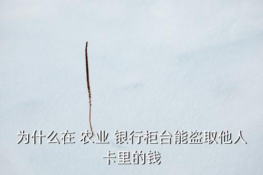 為什么在 農(nóng)業(yè) 銀行柜臺(tái)能盜取他人卡里的錢