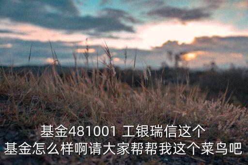  基金481001 工銀瑞信這個(gè) 基金怎么樣啊請(qǐng)大家?guī)蛶臀疫@個(gè)菜鳥(niǎo)吧