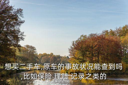 想買二手車,原車的事故狀況能查到嗎,比如保險 理賠 記錄之類的