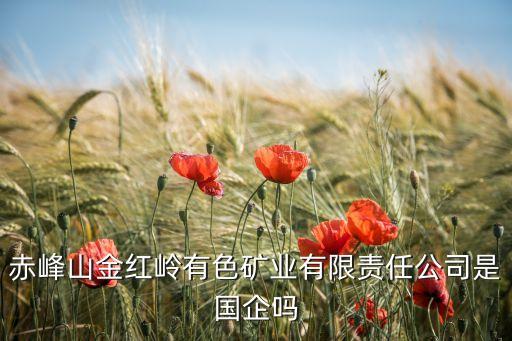 赤峰山金紅嶺有色礦業(yè)有限責(zé)任公司是國(guó)企嗎