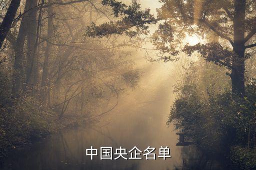 中國南動集團財務(wù)有限責任公司