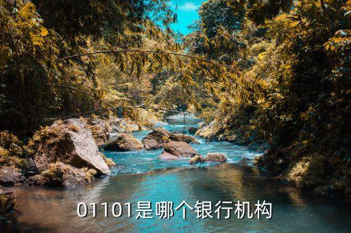 01101是哪個(gè)銀行機(jī)構(gòu)