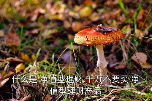 什么是 凈值型理財(cái),千萬(wàn)不要買 凈值型理財(cái)產(chǎn)品