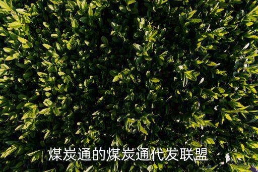 鄭煤集團(tuán)供銷(xiāo)