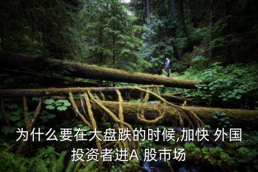 外國資金進(jìn)入中國股市,哪些資金不能進(jìn)入股市