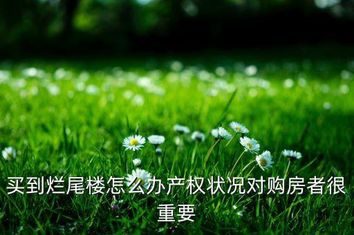 買(mǎi)到爛尾樓怎么辦產(chǎn)權(quán)狀況對(duì)購(gòu)房者很重要