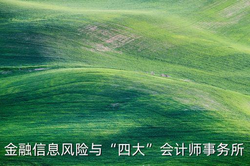 金融信息風(fēng)險與“四大”會計師事務(wù)所