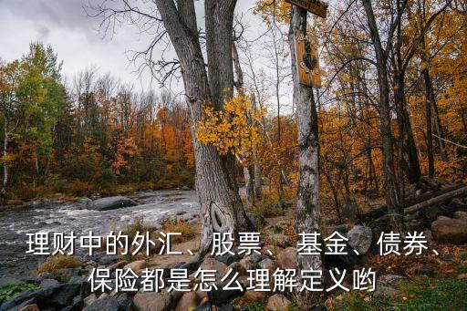 理財(cái)中的外匯、股票、 基金、債券、保險(xiǎn)都是怎么理解定義喲