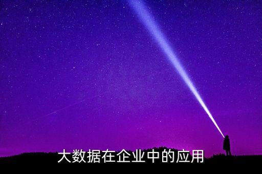 大數(shù)據(jù)在企業(yè)中的應用