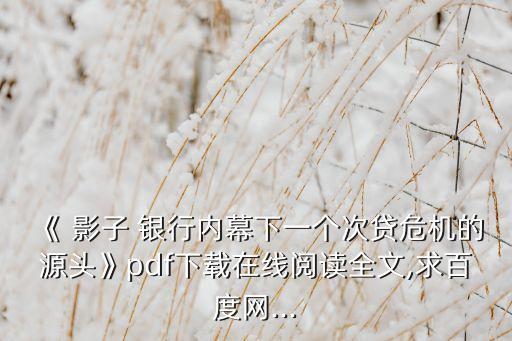 《 影子 銀行內(nèi)幕下一個次貸危機的源頭》pdf下載在線閱讀全文,求百度網(wǎng)...