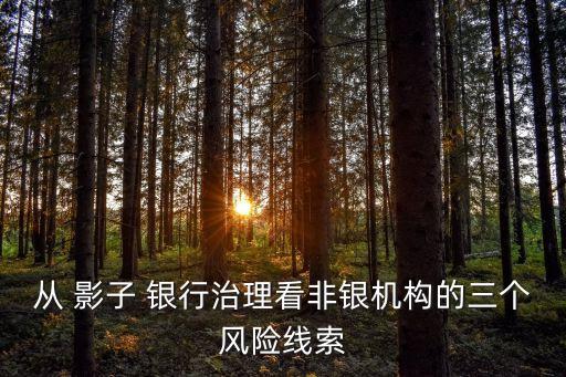 從 影子 銀行治理看非銀機構(gòu)的三個風(fēng)險線索