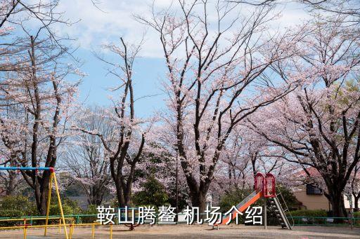 遼寧機(jī)場(chǎng)集團(tuán)董事長,云南機(jī)場(chǎng)集團(tuán)董事長