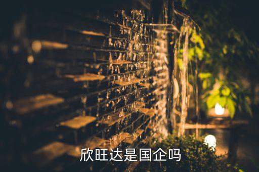  欣旺達是國企嗎