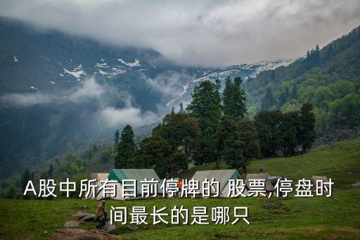 A股中所有目前停牌的 股票,停盤(pán)時(shí)間最長(zhǎng)的是哪只