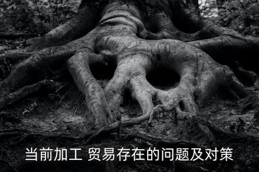 當前加工 貿(mào)易存在的問題及對策