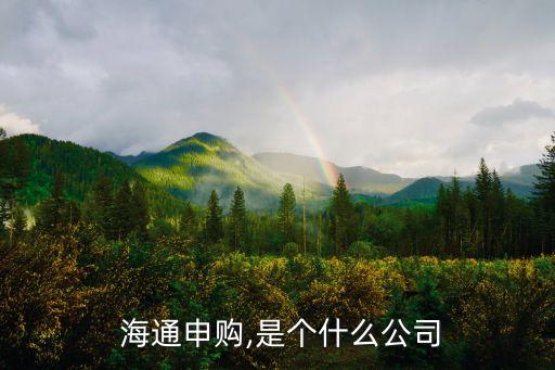  海通申購,是個(gè)什么公司