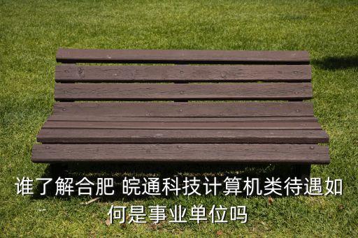 誰了解合肥 皖通科技計算機類待遇如何是事業(yè)單位嗎