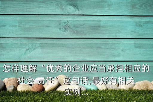 怎樣理解“優(yōu)秀的企業(yè)應(yīng)當承擔相應(yīng)的 社會 責任”這句話,最好有相關(guān) 實例...