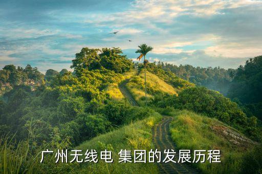 海格通信產(chǎn)業(yè)集團(tuán),廣州海格通信集團(tuán)屬于國企嗎