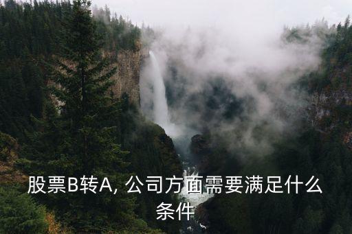 股票B轉A, 公司方面需要滿足什么條件