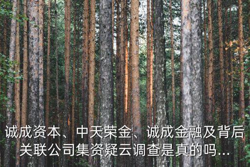 誠成資本、中天榮金、誠成金融及背后關(guān)聯(lián)公司集資疑云調(diào)查是真的嗎...