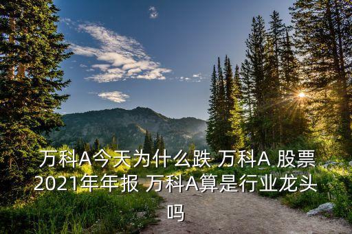  萬科A今天為什么跌 萬科A 股票2021年年報(bào) 萬科A算是行業(yè)龍頭嗎