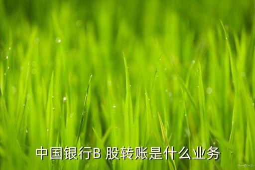 中國銀行B 股轉賬是什么業(yè)務