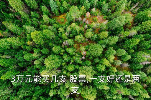 3萬(wàn)元能買(mǎi)幾支 股票,一支好還是兩支