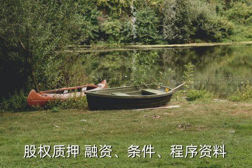 股權(quán)質(zhì)押 融資、條件、程序資料
