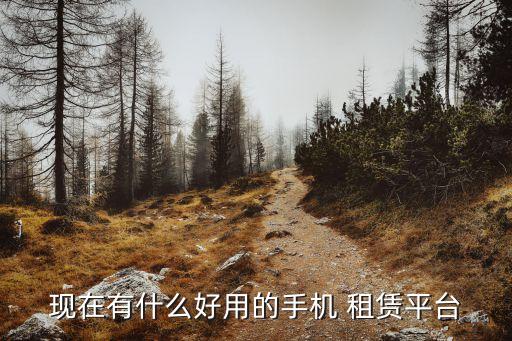 現(xiàn)在有什么好用的手機(jī) 租賃平臺