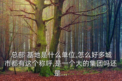 總部 基地是什么單位,怎么好多城市都有這個稱呼,是一個大的集團嗎還是...
