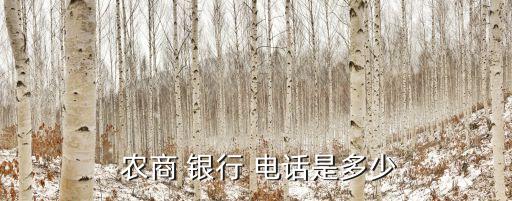  農商 銀行 電話是多少