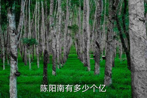 陳陽(yáng)南有多少個(gè)億