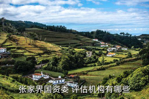 張家界國資委 評估機構有哪些