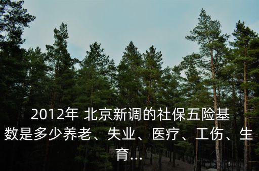  2012年 北京新調的社保五險基數是多少養(yǎng)老、失業(yè)、醫(yī)療、工傷、生育...