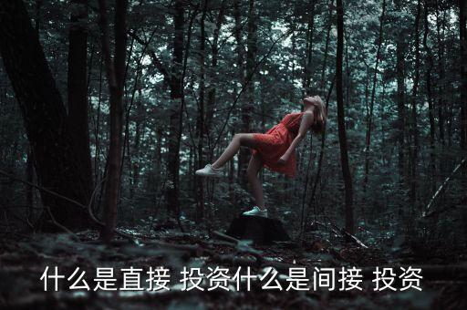 對外直接投資的概念,中國對外直接投資統(tǒng)計(jì)公報(bào)