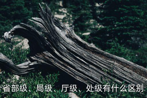 省部級(jí)、局級(jí)、廳級(jí)、處級(jí)有什么區(qū)別