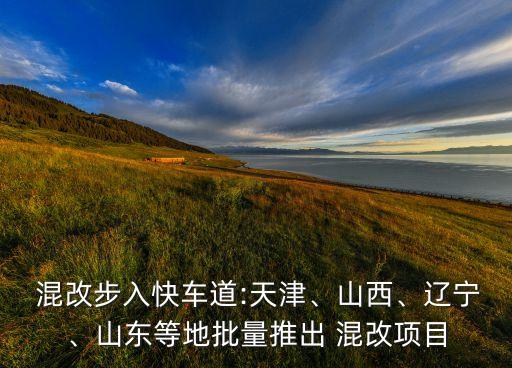  混改步入快車道:天津、山西、遼寧、山東等地批量推出 混改項目