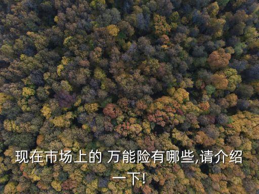 現在市場上的 萬能險有哪些,請介紹一下!