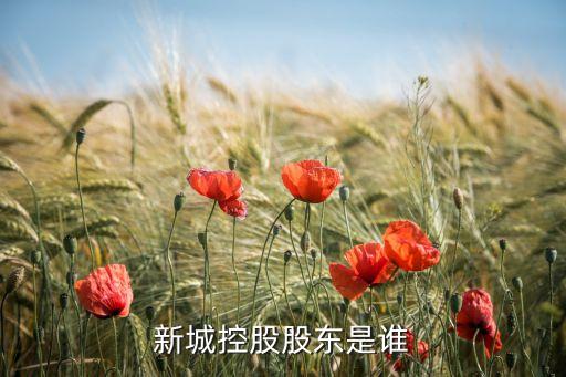 新城控股股東是誰(shuí)