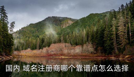 國內(nèi) 域名注冊商哪個靠譜點(diǎn)怎么選擇
